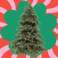 kerstboom huren